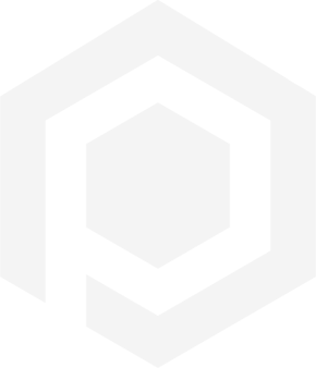 Pixcell Logo Gris
